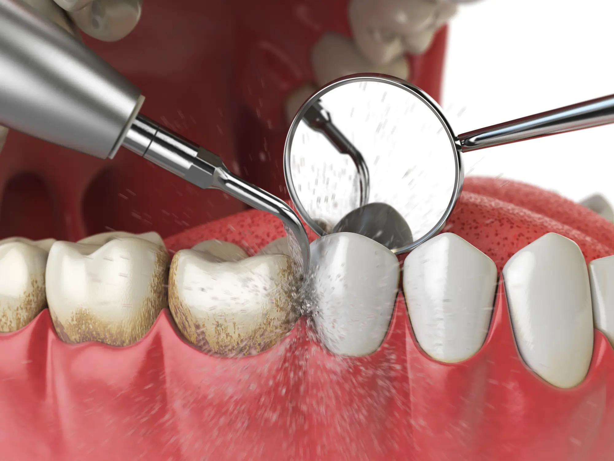 dr primley owner of redmond oregon caldera dental group